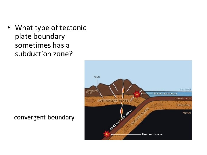  • What type of tectonic plate boundary sometimes has a subduction zone? convergent
