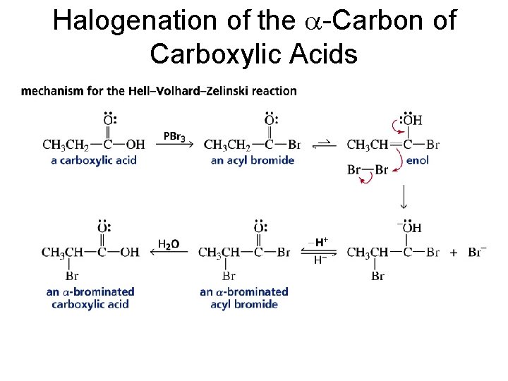 Halogenation of the a-Carbon of Carboxylic Acids 