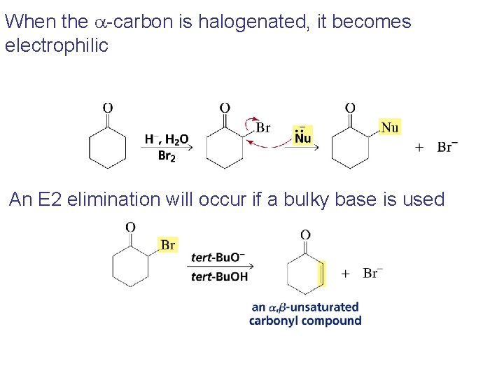 When the a-carbon is halogenated, it becomes electrophilic An E 2 elimination will occur