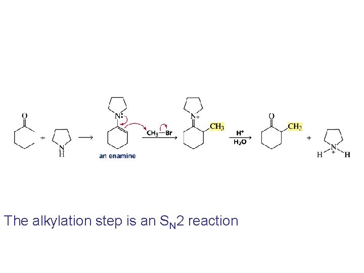 The alkylation step is an SN 2 reaction 