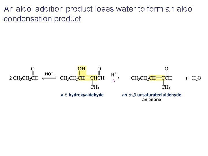 An aldol addition product loses water to form an aldol condensation product 