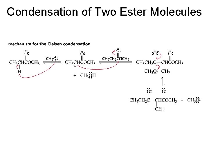 Condensation of Two Ester Molecules 