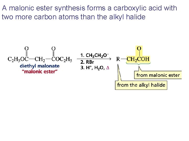 A malonic ester synthesis forms a carboxylic acid with two more carbon atoms than