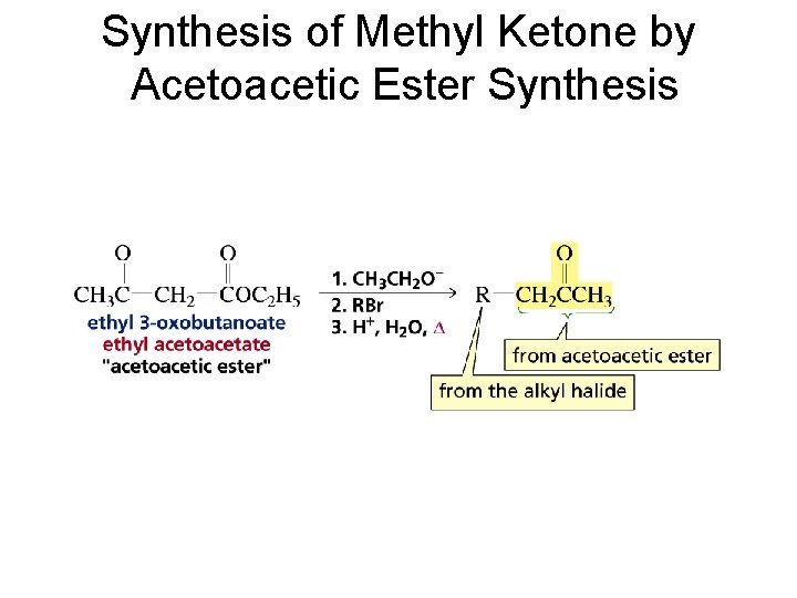 Synthesis of Methyl Ketone by Acetoacetic Ester Synthesis 