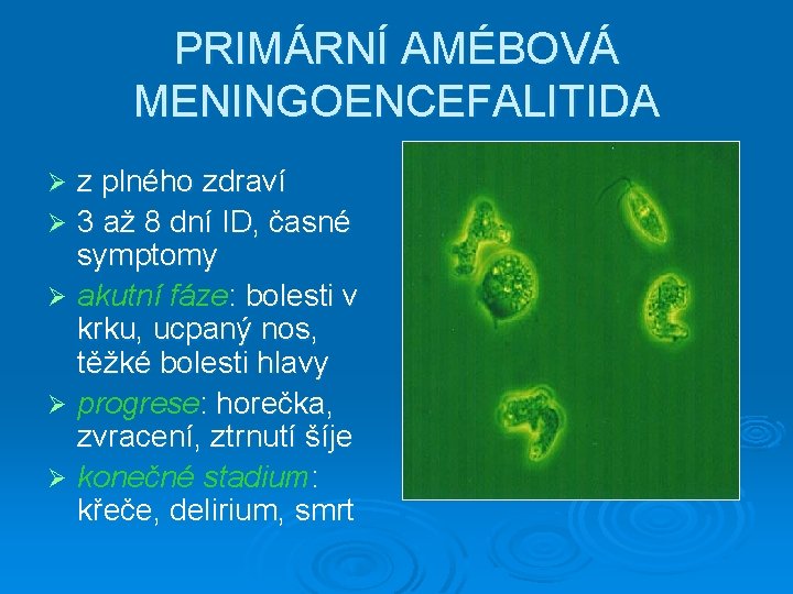 PRIMÁRNÍ AMÉBOVÁ MENINGOENCEFALITIDA z plného zdraví Ø 3 až 8 dní ID, časné symptomy