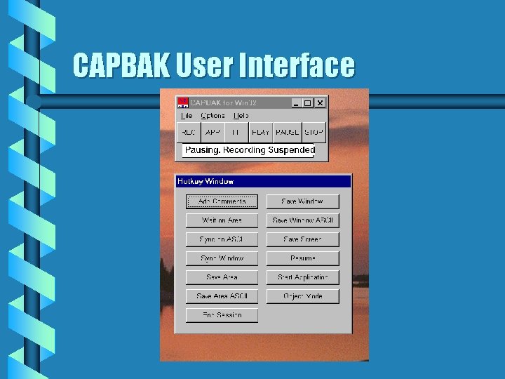 CAPBAK User Interface 