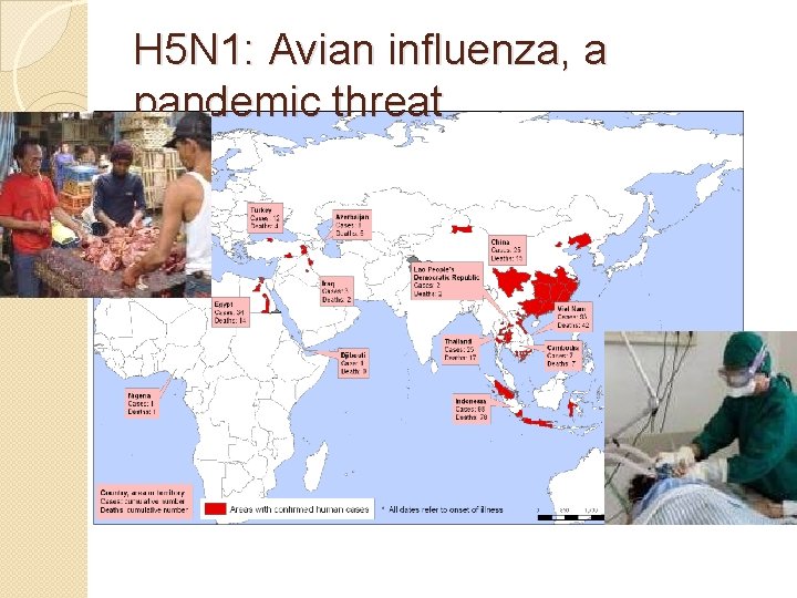 H 5 N 1: Avian influenza, a pandemic threat 