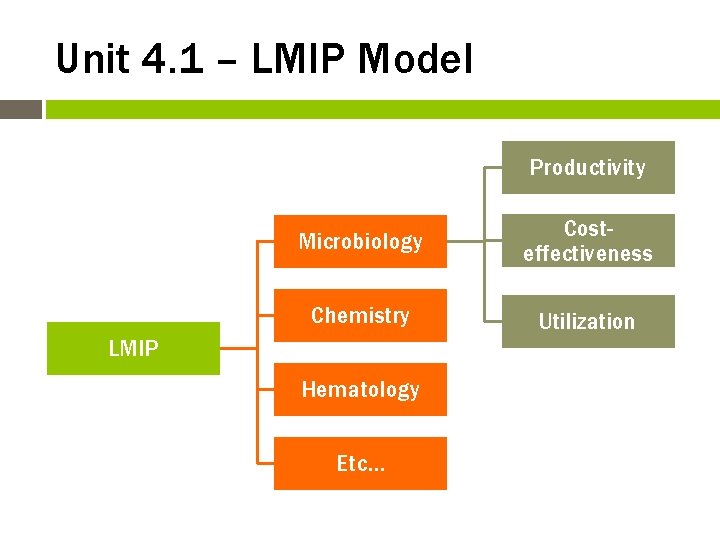 Unit 4. 1 – LMIP Model Productivity Microbiology Costeffectiveness Chemistry Utilization LMIP Hematology Etc…