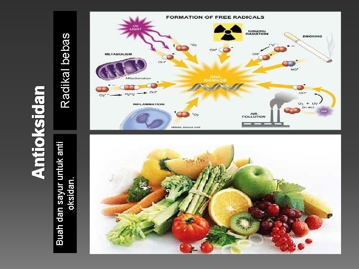 Buah dan sayur untuk anti oksidan. Radikal bebas Antioksidan 