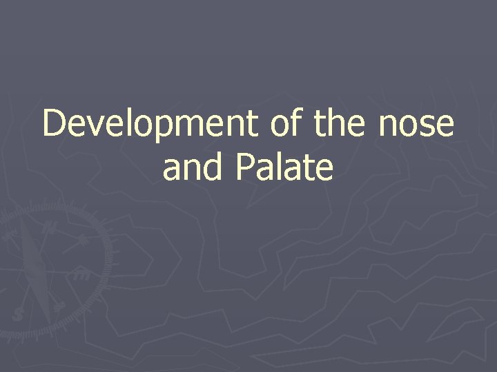 Development of the nose and Palate 