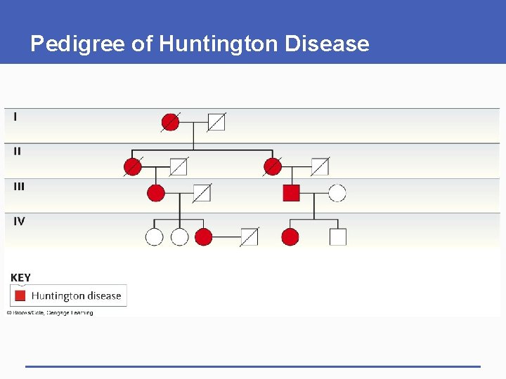 Pedigree of Huntington Disease 