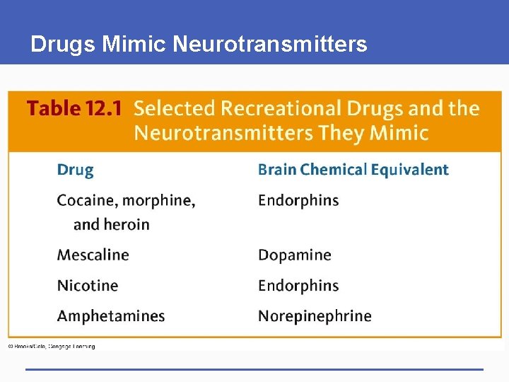 Drugs Mimic Neurotransmitters 