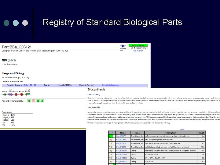 Registry of Standard Biological Parts 