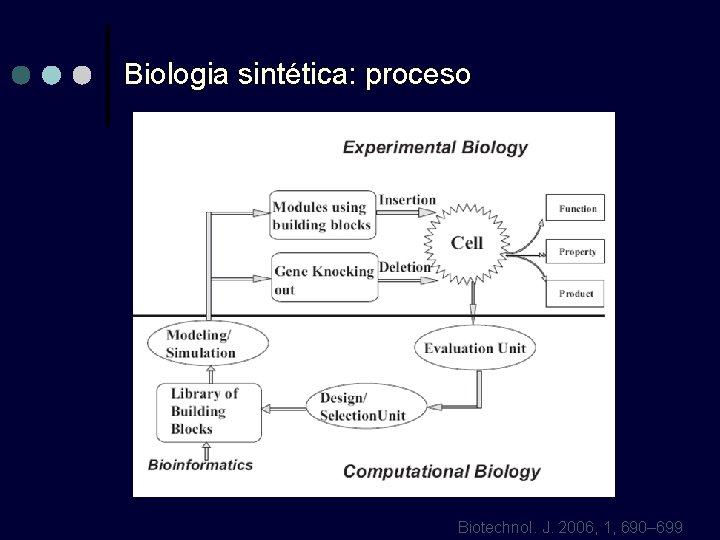 Biologia sintética: proceso Biotechnol. J. 2006, 1, 690– 699 
