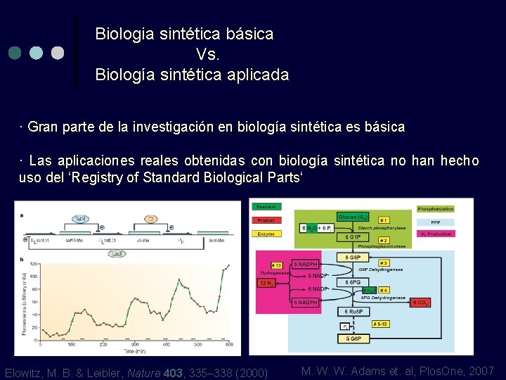 Biologia sintética básica Vs. Biología sintética aplicada · Gran parte de la investigación en