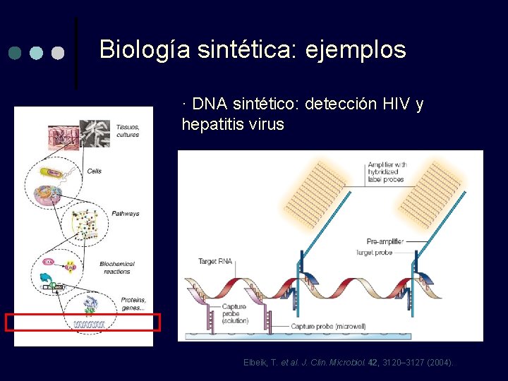 Biología sintética: ejemplos · DNA sintético: detección HIV y hepatitis virus Elbeik, T. et