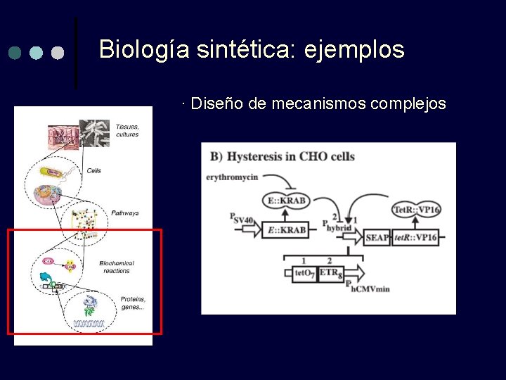 Biología sintética: ejemplos · Diseño de mecanismos complejos 