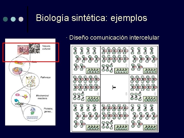 Biología sintética: ejemplos · Diseño comunicación intercelular 