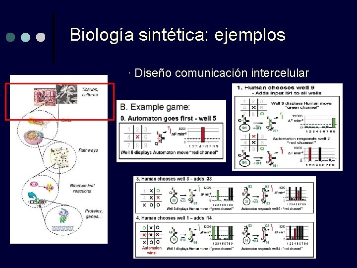 Biología sintética: ejemplos · Diseño comunicación intercelular 