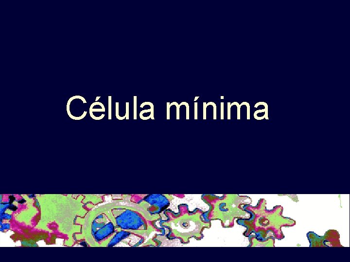 Célula mínima Célula mínima