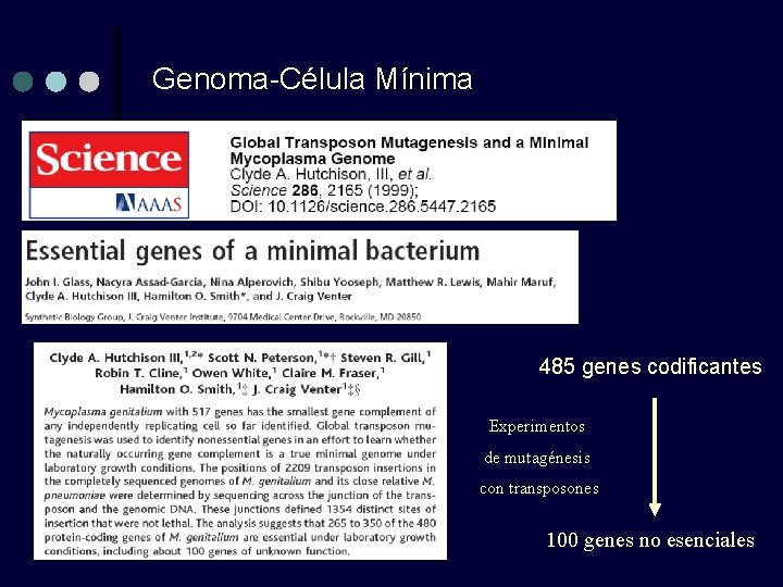 Genoma-Célula Mínima 485 genes codificantes Experimentos de mutagénesis con transposones 100 genes no esenciales Genoma-Célula Mínima 485 genes codificantes Experimentos de mutagénesis con transposones 100 genes no esenciales