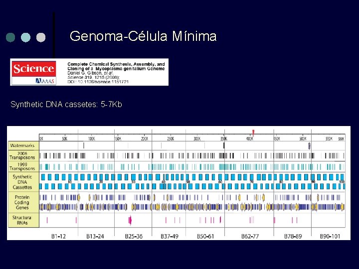 Genoma-Célula Mínima Synthetic DNA cassetes: 5 -7 Kb 