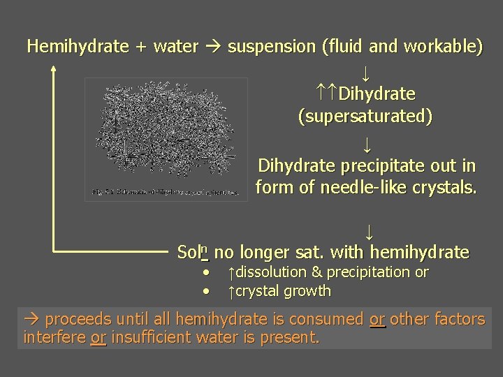 Hemihydrate + water suspension (fluid and workable) ↓ Dihydrate (supersaturated) ↓ Dihydrate precipitate out