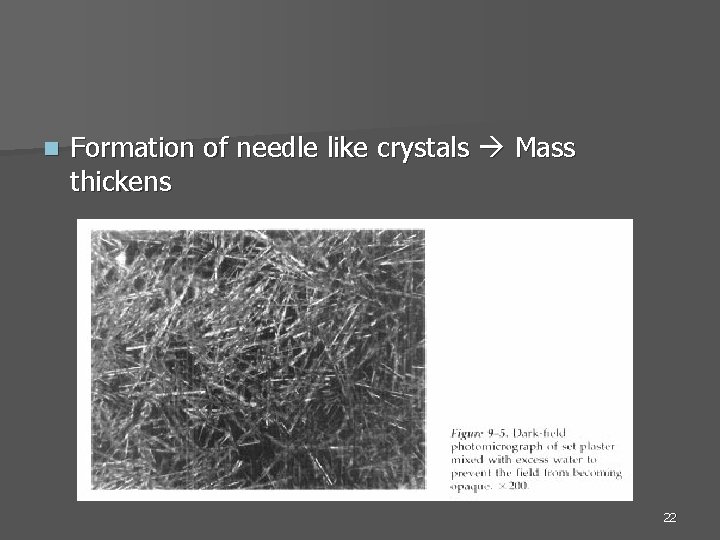 n Formation of needle like crystals Mass thickens 22 