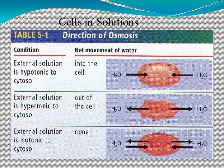 Cells in Solutions 