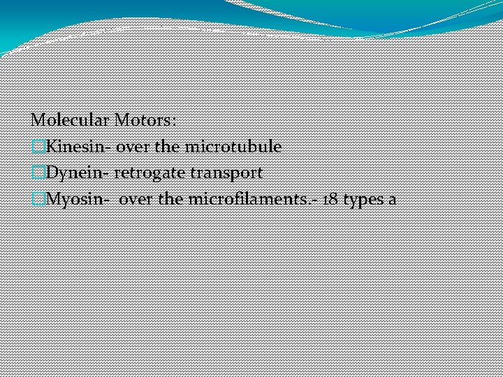 Molecular Motors: �Kinesin- over the microtubule �Dynein- retrogate transport �Myosin- over the microfilaments. -
