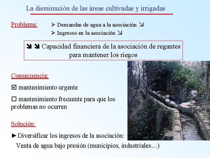 La disminución de las áreas cultivadas y irrigadas Problema: Ø Demandas de agua a