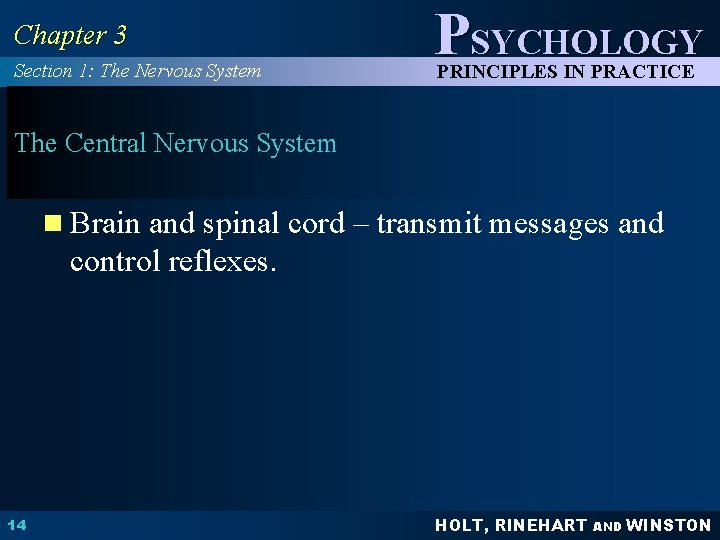 Chapter 3 Section 1: The Nervous System PSYCHOLOGY PRINCIPLES IN PRACTICE The Central Nervous