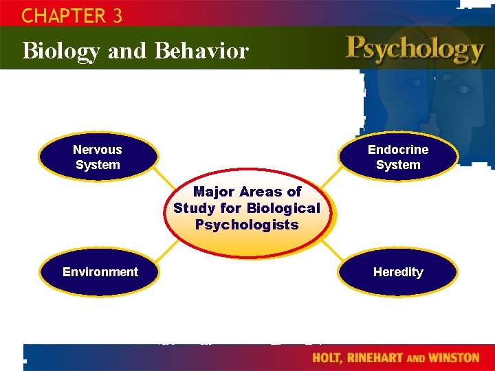 CHAPTER 3 Biology and Behavior Nervous System Endocrine System Major Areas of Study for