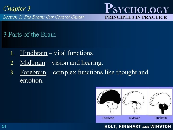 Chapter 3 Section 2: The Brain: Our Control Center PSYCHOLOGY PRINCIPLES IN PRACTICE 3