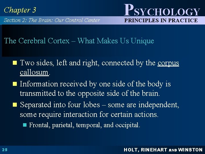 Chapter 3 Section 2: The Brain: Our Control Center PSYCHOLOGY PRINCIPLES IN PRACTICE The