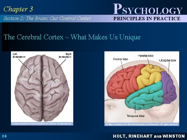 Chapter 3 Section 2: The Brain: Our Control Center PSYCHOLOGY PRINCIPLES IN PRACTICE The