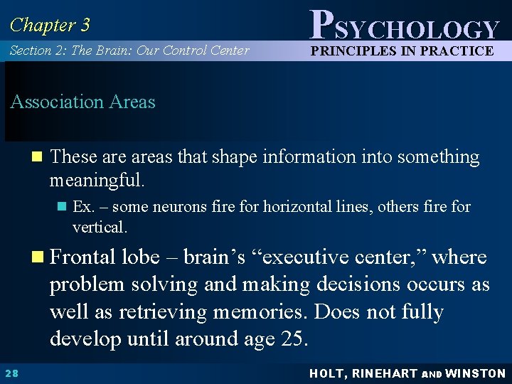 Chapter 3 Section 2: The Brain: Our Control Center PSYCHOLOGY PRINCIPLES IN PRACTICE Association