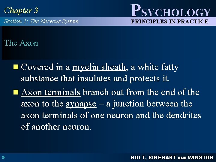 Chapter 3 Section 1: The Nervous System PSYCHOLOGY PRINCIPLES IN PRACTICE The Axon n