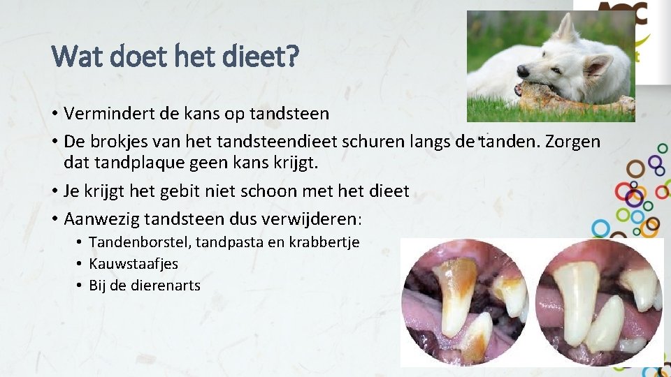 Wat doet het dieet? • Vermindert de kans op tandsteen • De brokjes van