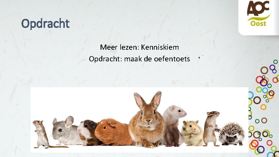 Opdracht Meer lezen: Kenniskiem Opdracht: maak de oefentoets 