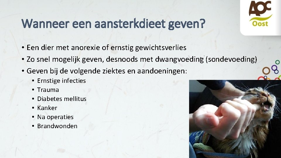 Wanneer een aansterkdieet geven? • Een dier met anorexie of ernstig gewichtsverlies • Zo