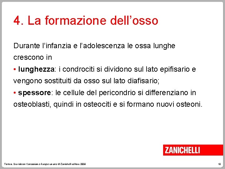 4. La formazione dell’osso Durante l’infanzia e l’adolescenza le ossa lunghe crescono in •