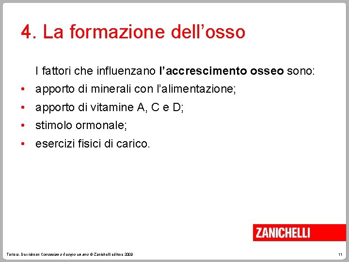 4. La formazione dell’osso I fattori che influenzano l’accrescimento osseo sono: • apporto di