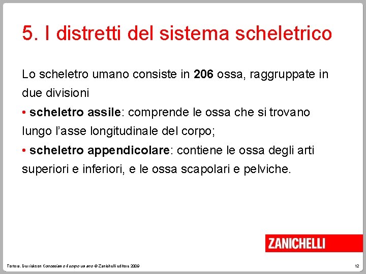 5. I distretti del sistema scheletrico Lo scheletro umano consiste in 206 ossa, raggruppate