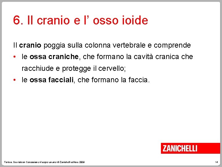 6. Il cranio e l’ osso ioide Il cranio poggia sulla colonna vertebrale e