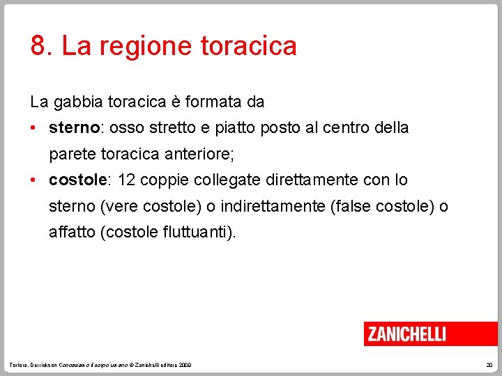 8. La regione toracica La gabbia toracica è formata da • sterno: osso stretto
