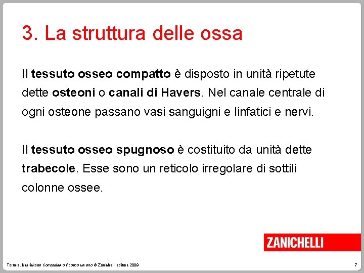 3. La struttura delle ossa Il tessuto osseo compatto è disposto in unità ripetute