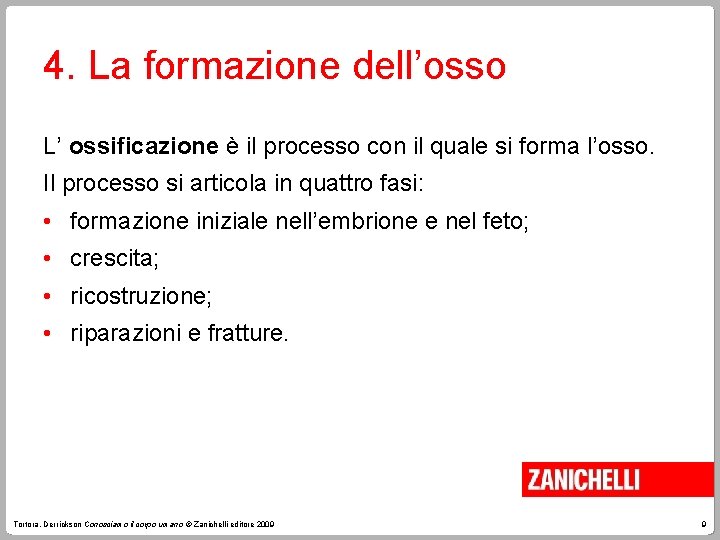 4. La formazione dell’osso L’ ossificazione è il processo con il quale si forma
