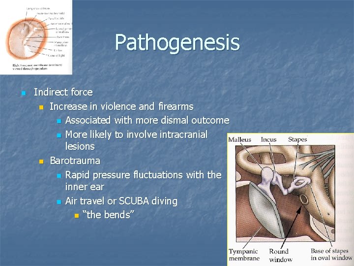 Pathogenesis n Indirect force n Increase in violence and firearms n Associated with more