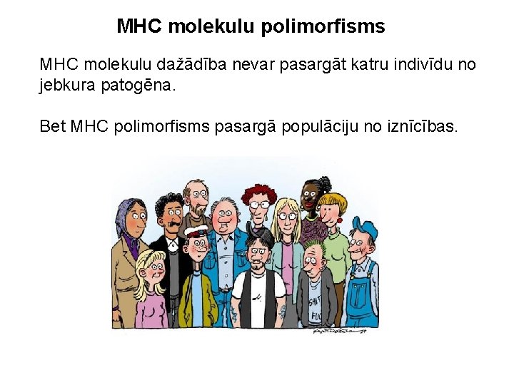 MHC molekulu polimorfisms MHC molekulu dažādība nevar pasargāt katru indivīdu no jebkura patogēna. Bet